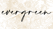 Handwritten word evergreen in black ink on a textured beige background with black ink splatters.