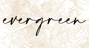 Handwritten word evergreen over a beige and black abstract textured background.