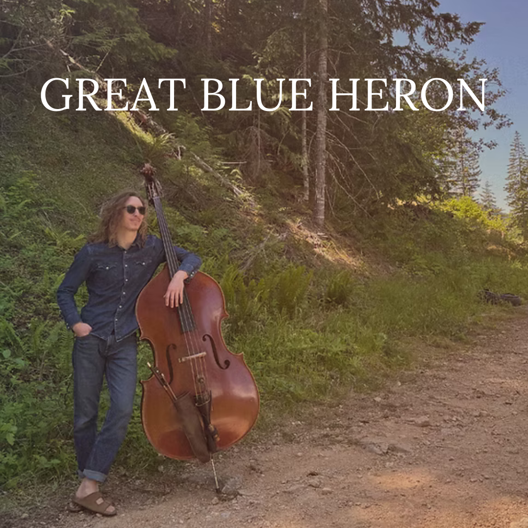 A person in sunglasses leans on a double bass beside a dirt path, with GREAT BLUE HERON text above.