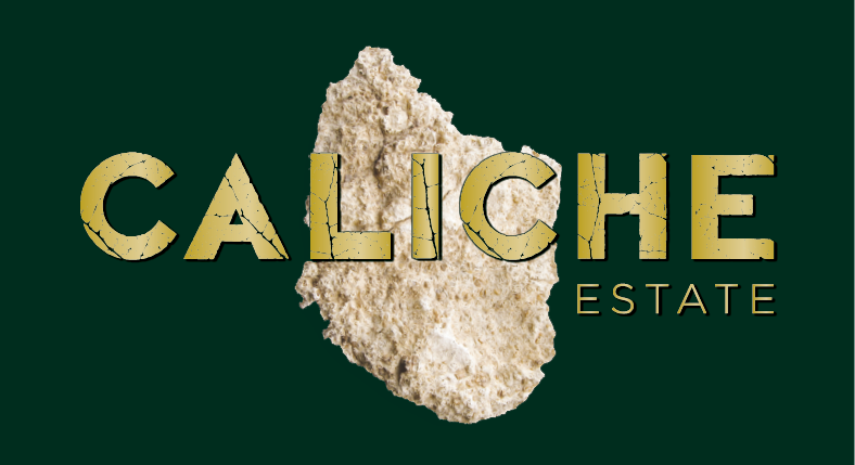 Text CALICHE ESTATE overlaid on a rough, light-colored rock fragment on a dark green background.
