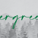 Watercolor evergreen trees with the word evergreen in green cursive text above them.
