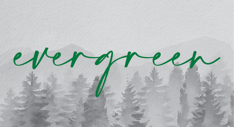 Watercolor evergreen trees with the word evergreen in green cursive text above them.